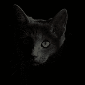 category_photography